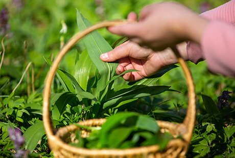 Vedkranti Agriculture